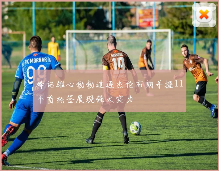 蜂记雄心勃勃追逐杰伦布朗手握11个首轮签展现强大实力