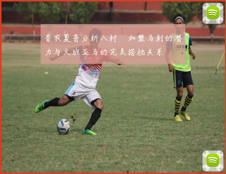 香农夏普分析八村塁加盟马刺的潜力与文班亚马的完美搭档关系