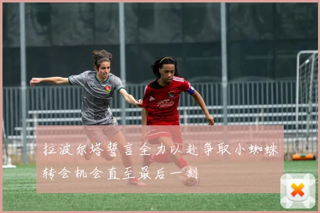 拉波尔塔誓言全力以赴争取小蜘蛛转会机会直至最后一刻
